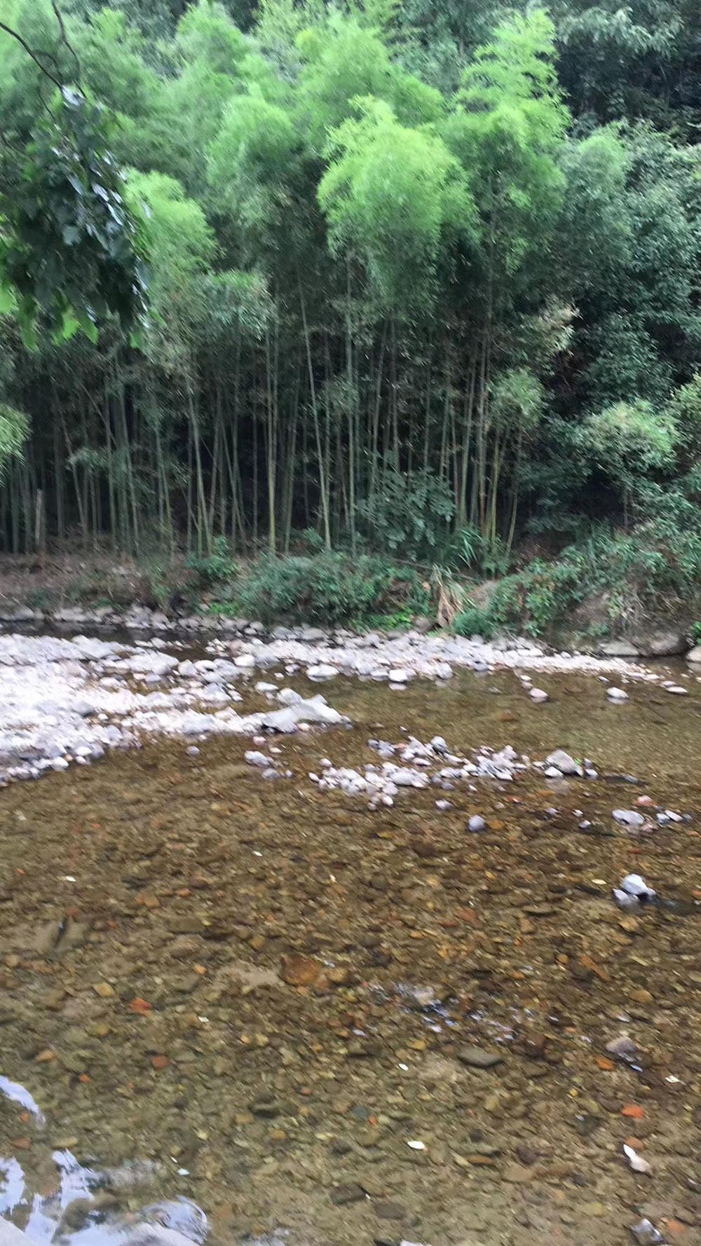 金華市海納鑫隆汽車(chē)內(nèi)飾件有限公司團(tuán)建活動(dòng)之水庫(kù)游